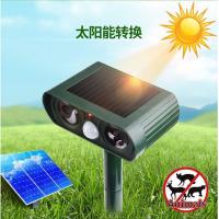 uploads/erp/collection/images/LEO/LEO/XU0526222/img_b/XU0526222_img_b_3
