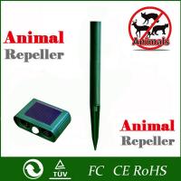 uploads/erp/collection/images/LEO/LEO/XU0526222/img_b/XU0526222_img_b_4