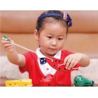 uploads/erp/collection/images/Toys/YZL/XU0566377/img_b/XU0566377_img_b_4
