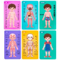 uploads/erp/collection/images/Toys/yunhezhiyou/XU0560324/img_b/XU0560324_img_b_3