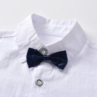 uploads/erp/collection/images/XU/XUQY/XU0645362/img_b/XU0645362_img_b_4