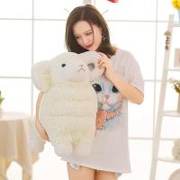 uploads/erp/collection/images/XU/XUQY/XU13806551/img_b/XU13806551_img_b_4