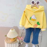 uploads/erp/collection/images/XU/XUQY/XU23823382/img_b/XU23823382_img_b_3