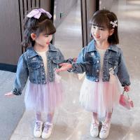 uploads/erp/collection/images/XU/XUQY/XU66816666/img_b/XU66816666_img_b_2