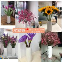 uploads/erp/collection/images/XU/XUQY/XU68824381/img_b/XU68824381_img_b_3