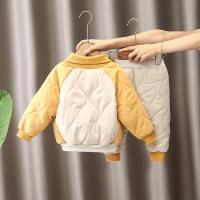 uploads/erp/collection/images/XU/XUQY/XU81795309/img_b/XU81795309_img_b_3
